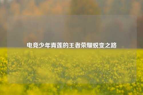 电竞少年青莲的王者荣耀蜕变之路
