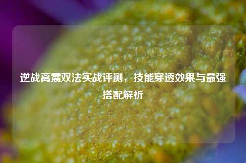 逆战离震双法实战评测，技能穿透效果与最强搭配解析