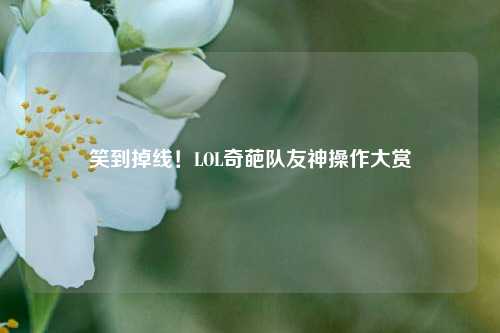 笑到掉线！LOL奇葩队友神操作大赏