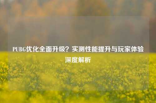 PUBG优化全面升级？实测性能提升与玩家体验深度解析