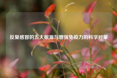 反复感冒的五大根源与增强免疫力的科学对策