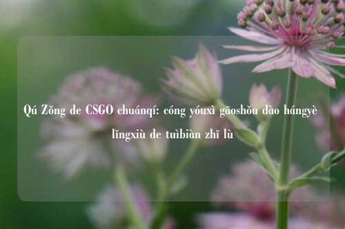 Qú Zǒng de CSGO chuánqí: cóng yóuxì gāoshǒu dào hángyè lǐngxiù de tuìbiàn zhī lù