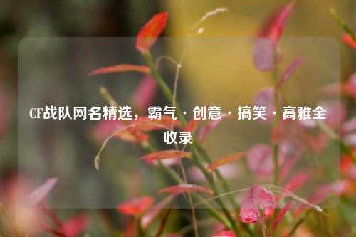 CF战队网名精选，霸气·创意·搞笑·高雅全收录