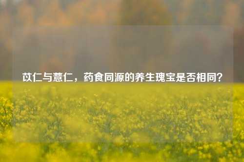 苡仁与薏仁，药食同源的养生瑰宝是否相同？