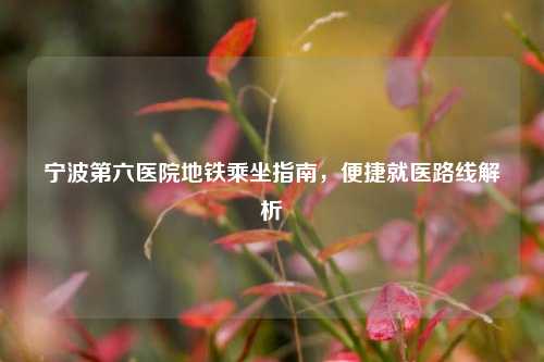 宁波第六医院地铁乘坐指南，便捷就医路线解析