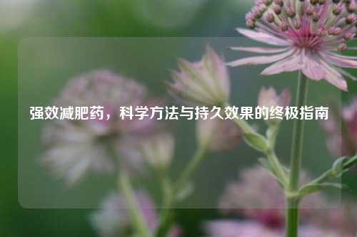 强效减肥药，科学     与持久效果的终极指南