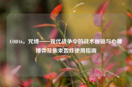 COD16，咒缚——现代战争中的战术枷锁与心理博弈及集束轰炸使用指南