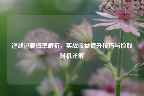 逆战过载概率解析，实战收益提升技巧与捡取时机详解