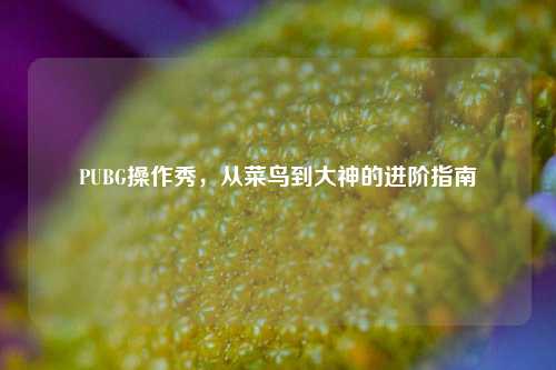 PUBG操作秀，从菜鸟到大神的进阶指南