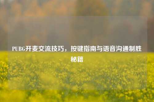 PUBG开麦交流技巧，按键指南与语音沟通制胜秘籍