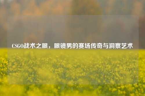 CSGO战术之眼，眼镜男的赛场传奇与洞察艺术
