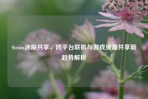 Steam冰原共享，跨平台联机与游戏资源共享新趋势解析