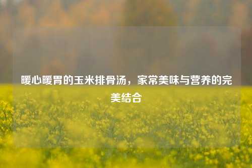 暖心暖胃的玉米排骨汤，家常美味与营养的完美结合
