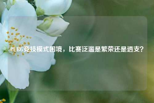 PUBG竞技模式困境，比赛泛滥是繁荣还是透支？