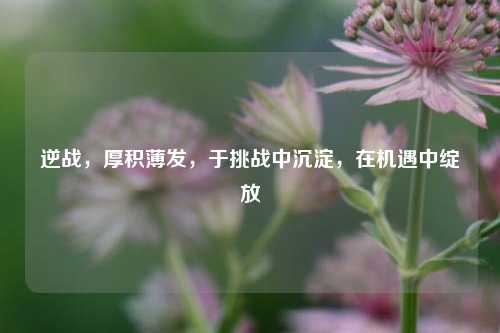 逆战，厚积薄发，于挑战中沉淀，在机遇中绽放