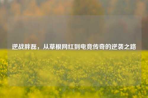 逆战胖磊，从草根网红到电竞传奇的逆袭之路