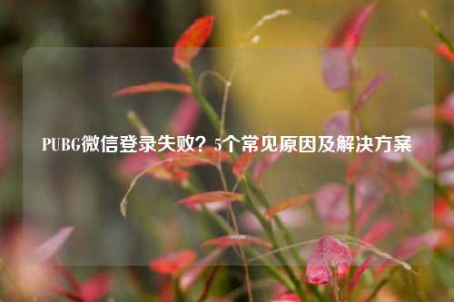 PUBG微信登录失败？5个常见原因及解决方案