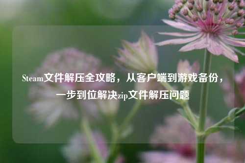 Steam文件解压全攻略,从客户端到游戏备份,一步到位解决zip文件解压问题