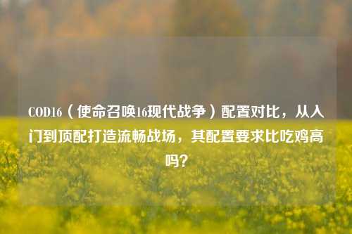 COD16(使命召唤16现代战争)配置对比,从入门到顶配打造流畅战场,其配置要求比吃鸡高吗?