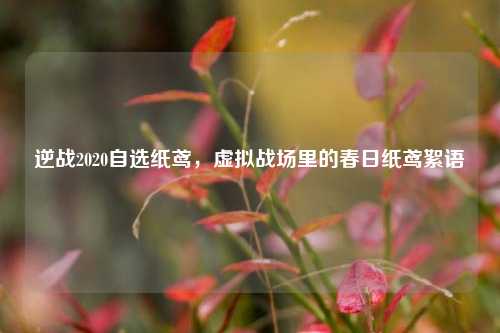 逆战2020自选纸鸢,虚拟战场里的春日纸鸢絮语