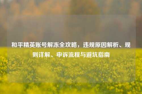 和平精英账号解冻全攻略,违规原因解析、规则详解、申诉流程与避坑指南