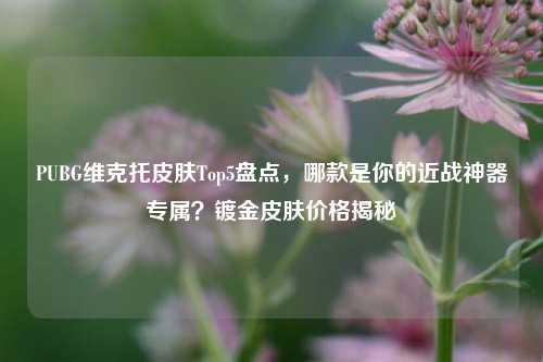 PUBG维克托皮肤Top5盘点,哪款是你的近战神器专属?镀金皮肤价格揭秘