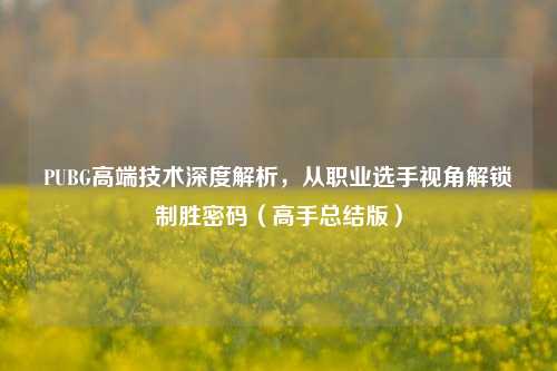 PUBG高端技术深度解析,从职业选手视角解锁制胜密码(高手总结版)