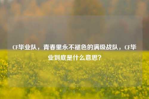 CF毕业队,青春里永不褪色的满级战队,CF毕业到底是什么意思?