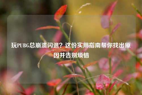 玩PUBG总崩溃闪退?这份实用指南帮你找出原因并告别烦恼
