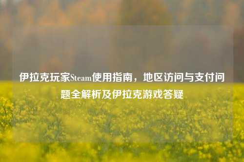 伊拉克玩家Steam使用指南,地区访问与支付问题全解析及伊拉克游戏答疑
