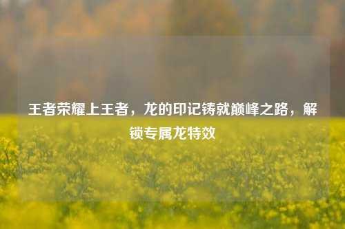 王者荣耀上王者,龙的印记铸就巅峰之路,解锁专属龙特效