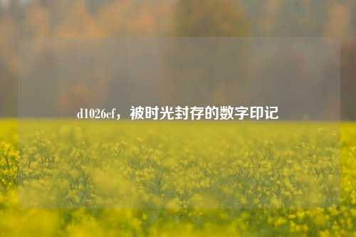 d1026cf,被时光封存的数字印记