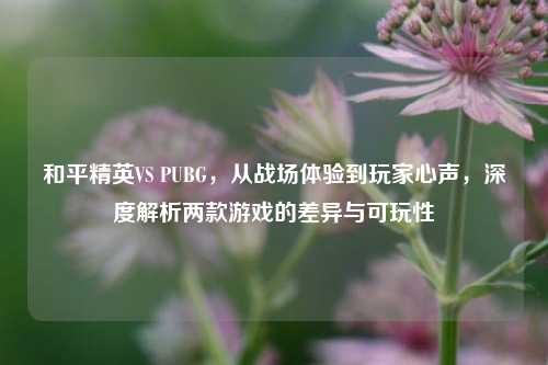 和平精英VS PUBG,从战场体验到玩家心声,深度解析两款游戏的差异与可玩性