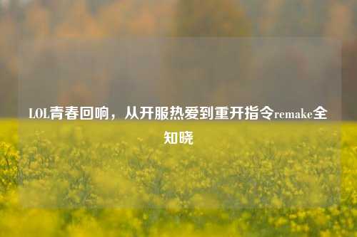 LOL青春回响,从开服热爱到重开指令remake全知晓