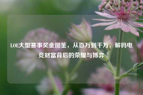 LOL大型赛事奖金图鉴,从百万到千万,解码电竞财富背后的荣耀与博弈