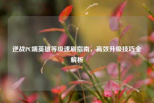 逆战PC端英雄等级速刷指南,高效升级技巧全解析