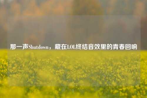 那一声Shutdown,藏在LOL终结音效里的青春回响