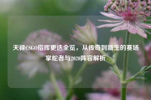 天禄CSGO指挥更迭全览,从传奇到新生的赛场掌舵者与2020阵容解析