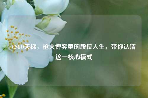 CSGO天梯,枪火博弈里的段位人生,带你认清这一核心模式