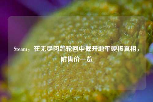 Steam,在无尽肉鸽轮回中掘开地牢硬核真相,附售价一览
