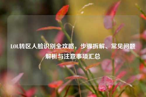 LOL转区人脸识别全攻略,步骤拆解、常见问题解析与注意事项汇总