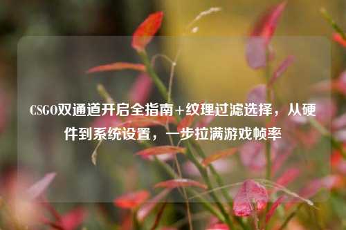 CSGO双通道开启全指南+纹理过滤选择,从硬件到系统设置,一步拉满游戏帧率