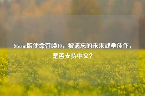 Steam版使命召唤10,被遗忘的未来战争佳作,是否支持中文?
