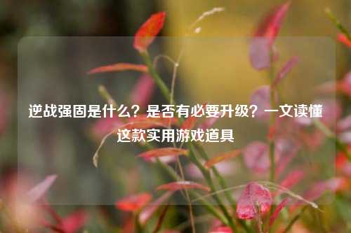 逆战强固是什么?是否有必要升级?一文读懂这款实用游戏道具