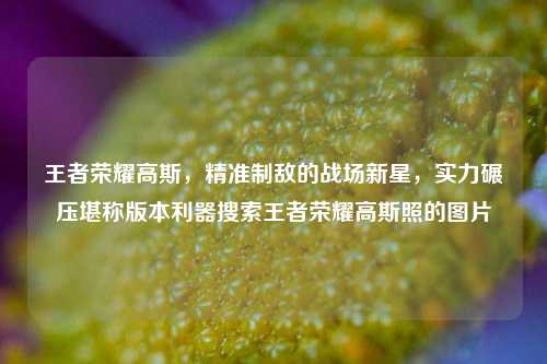 王者荣耀高斯,精准制敌的战场新星,实力碾压堪称版本利器搜索王者荣耀高斯照的图片