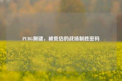 PUBG侧键,被低估的战场制胜密码