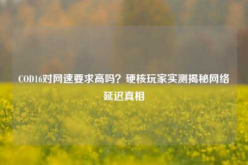 COD16对网速要求高吗?硬核玩家实测揭秘 延迟真相