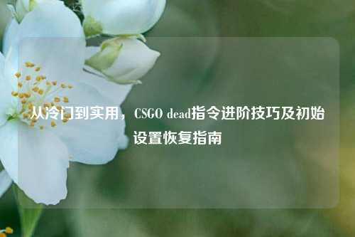从冷门到实用,CSGO dead指令进阶技巧及初始设置恢复指南
