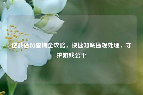 逆战惩罚查询全攻略,快速知晓违规处理,守护游戏公平