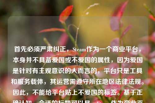 首先必须严肃纠正,Steam作为一个商业平台,本身并不具备爱国或不爱国的属性,因为爱国是针对有主观意识的人而言的,平台只是工具和服务载体,其运营需遵守所在地区法律法规。因此,不能给平台贴上不爱国的标签。基于正确认知,合适的标题可以是,Steam作为商业平台无爱国属性,评判需基于客观法律框架